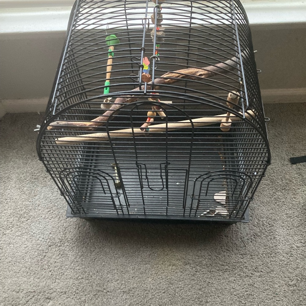 Bird Cage Black